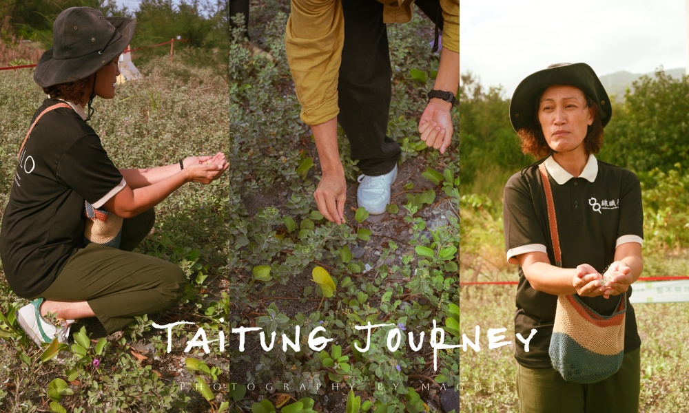 【10個台東南島文化秘境】用雙腳走進台東的風土與記憶 - 第82張圖