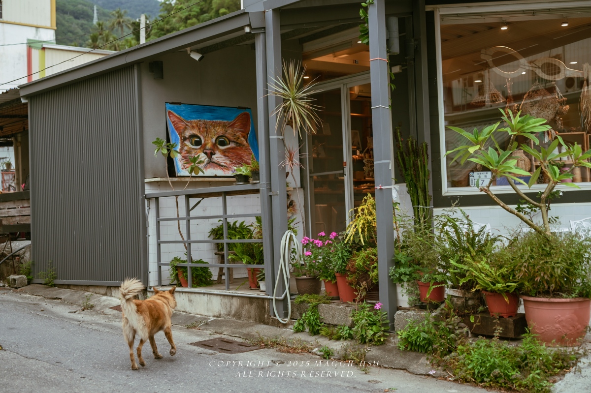 【10個台東南島文化秘境】用雙腳走進台東的風土與記憶 - 第79張圖