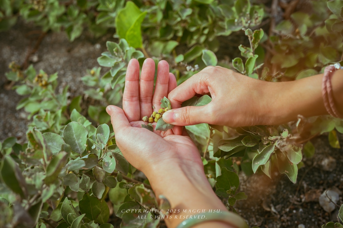 【10個台東南島文化秘境】用雙腳走進台東的風土與記憶 - 第81張圖