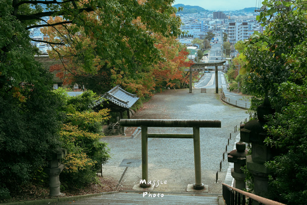 【2026日本高松自由行攻略】5大必去景點+推薦行程