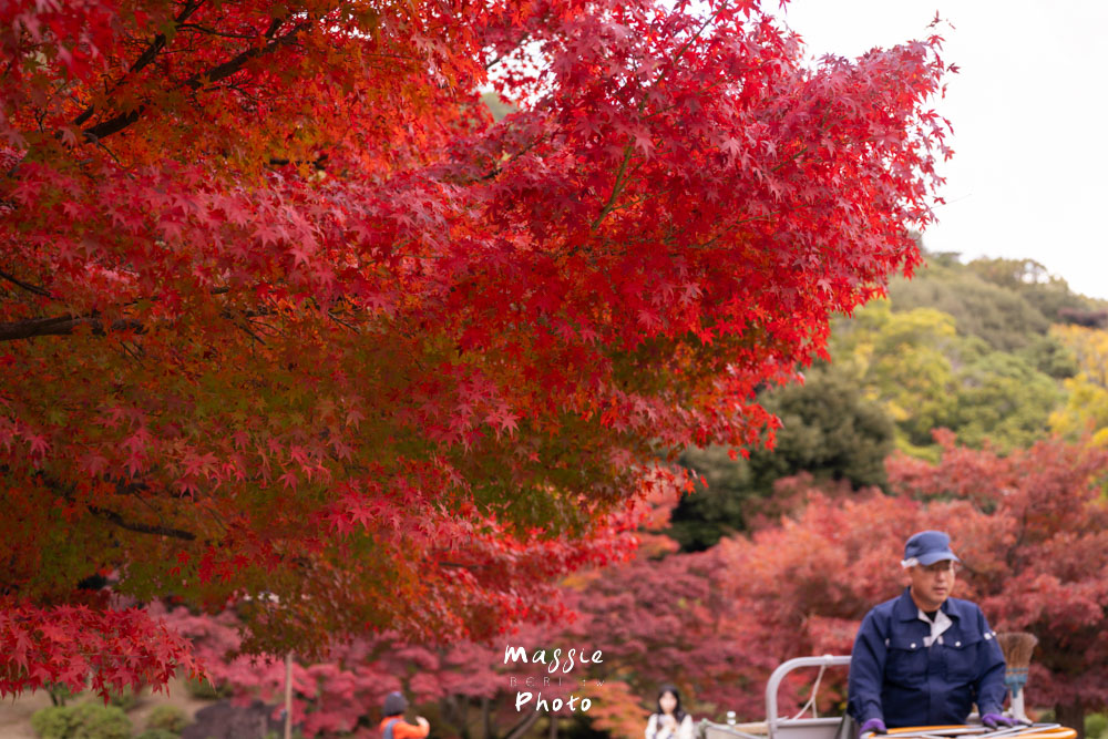 【2026日本高松自由行攻略】5大必去景點+推薦行程