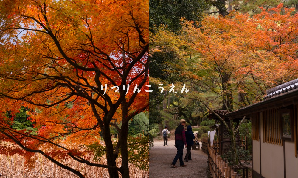 【2026日本高松自由行攻略】5大必去景點+推薦行程 - 第73張圖 【2026日本高松自由行攻略】5大必去景點+推薦行程