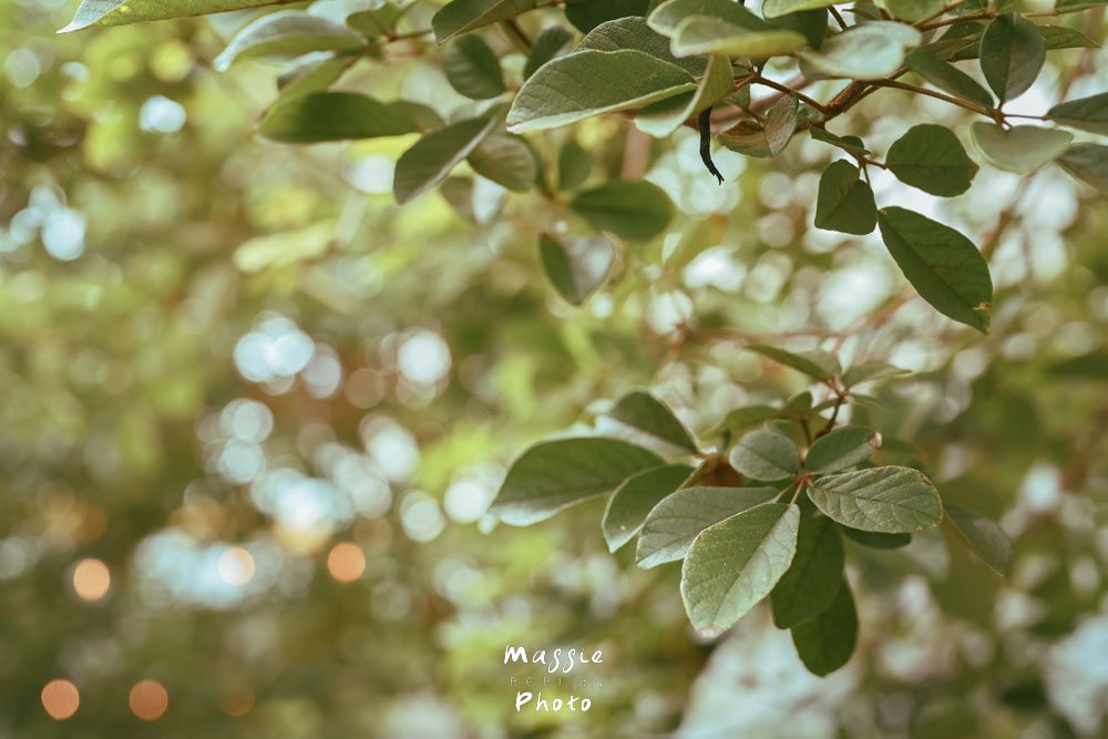 台東人氣早午餐「草民Tsaomin」被綠植包圍的超溫馨老宅! - 第9張圖