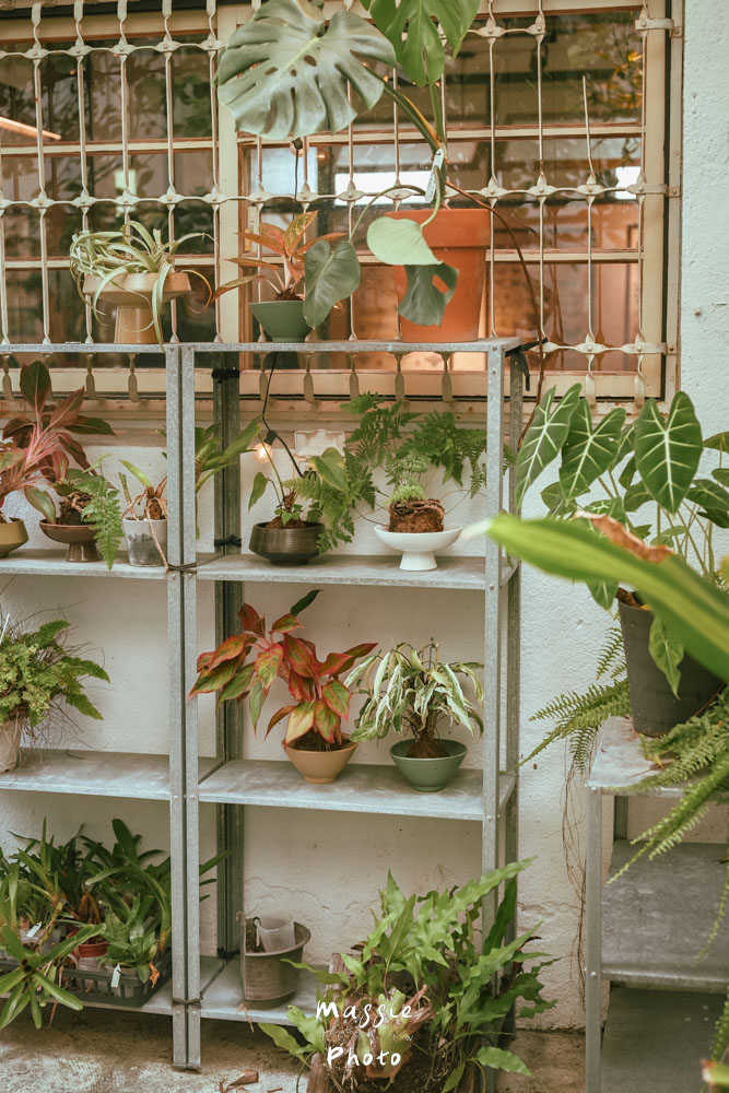 台東人氣早午餐「草民Tsaomin」被綠植包圍的超溫馨老宅! - 第11張圖