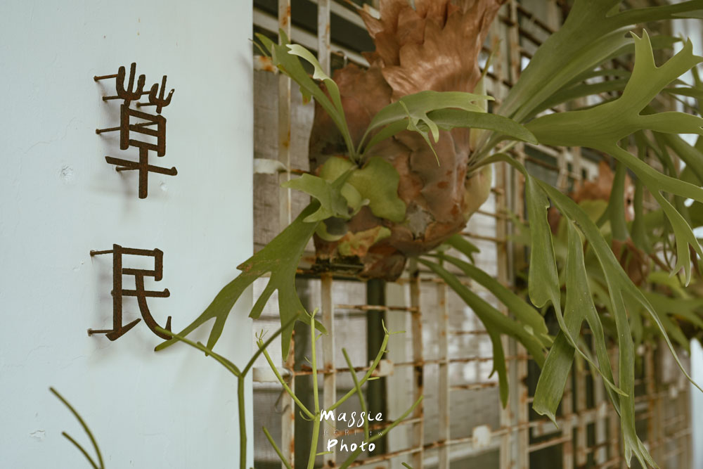 台東人氣早午餐「草民Tsaomin」被綠植包圍的超溫馨老宅! - 第4張圖