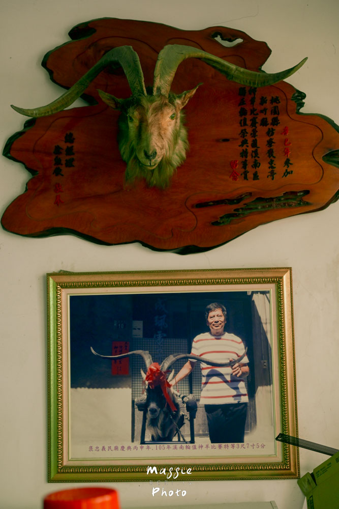 桃園富岡鐵道藝術生活節,富岡機廠參訪x老街深度散策 - 第13張圖 桃園富岡鐵道藝術生活節,富岡機廠參訪x老街深度散策