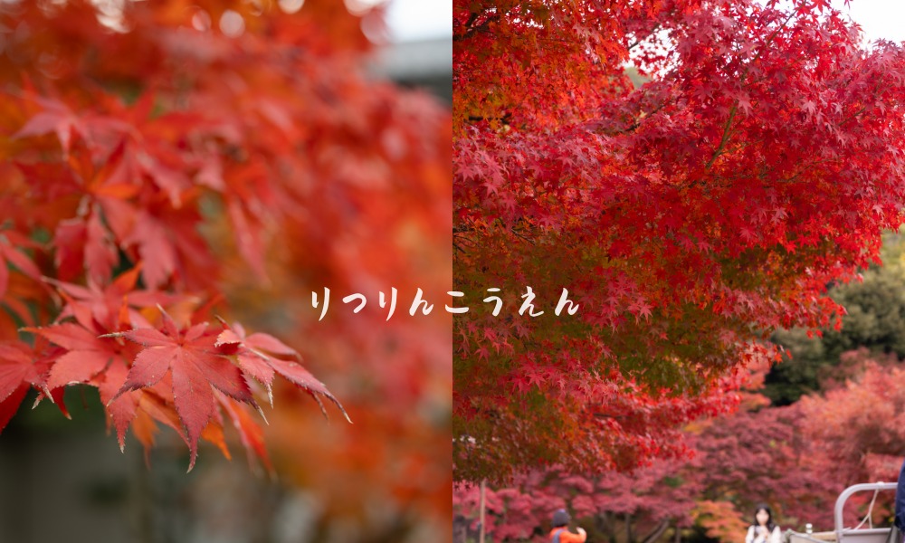 【2026日本高松自由行攻略】5大必去景點+推薦行程 - 第74張圖 【2026日本高松自由行攻略】5大必去景點+推薦行程