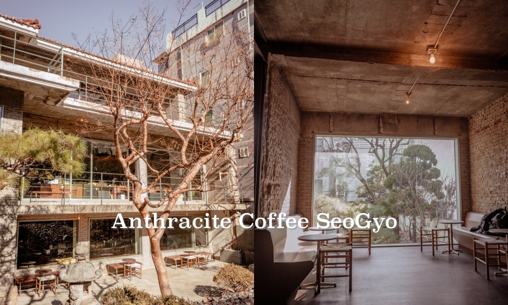 【望遠洞咖啡廳】Anthracite Coffee西橋店 城市綠洲獨棟咖啡廳