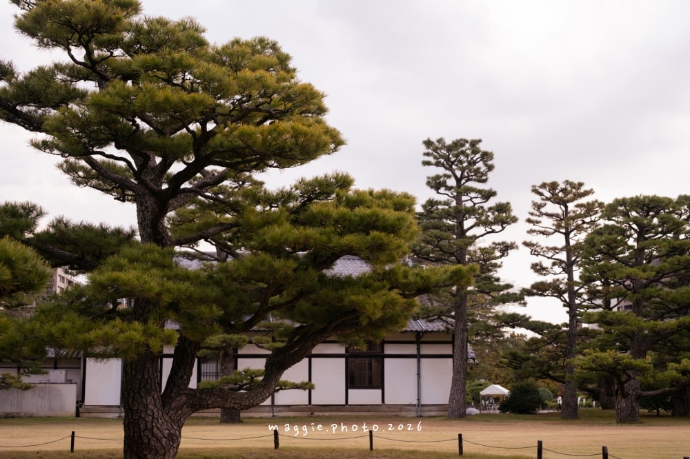高松栗林公園：必訪江戶庭園美學景緻，每一景都是國寶級活山水
