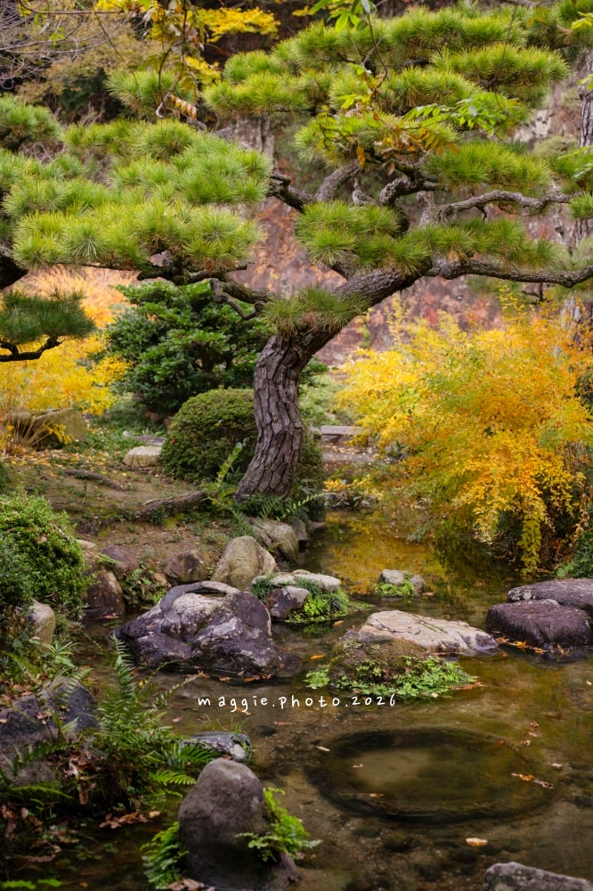 高松栗林公園：必訪江戶庭園美學景緻，每一景都是國寶級活山水