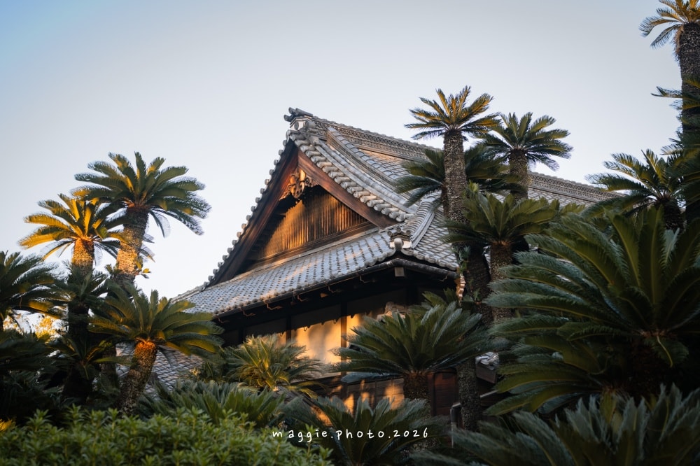【高松城玉藻公園攻略】門票、交通、必看亮點！攝影迷建築控必訪