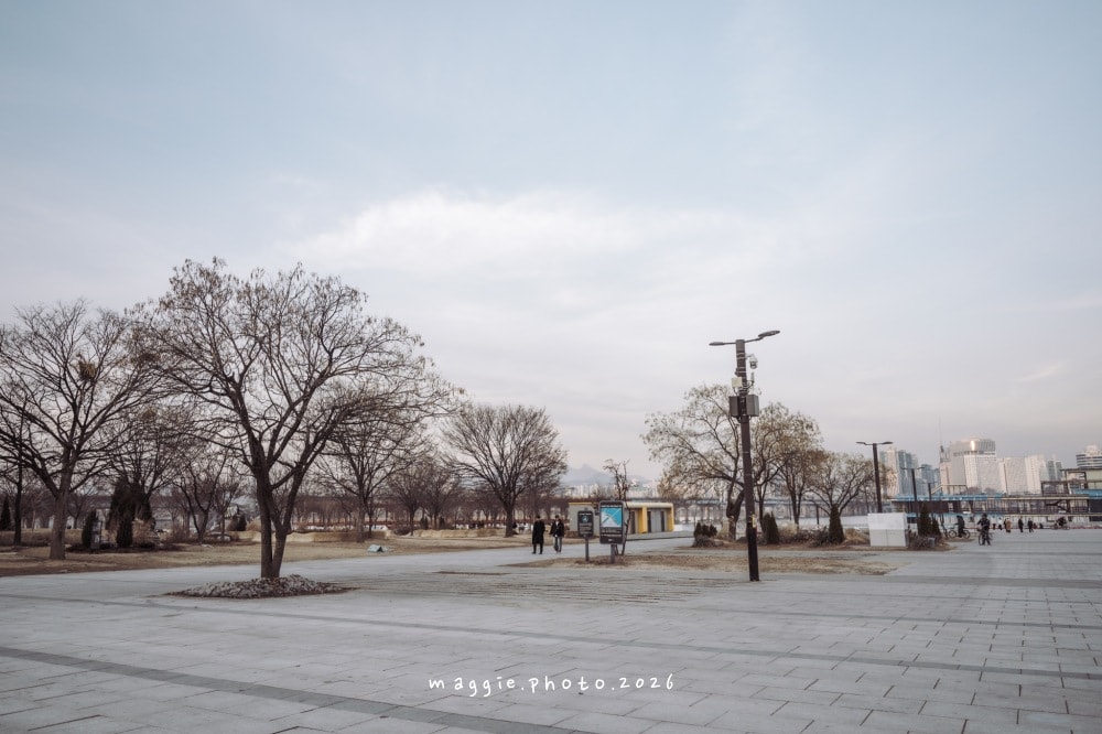 汝矣島漢江公園，首爾最熱絡的休憩聖地！