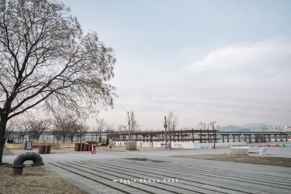汝矣島漢江公園，首爾最熱絡的休憩聖地！