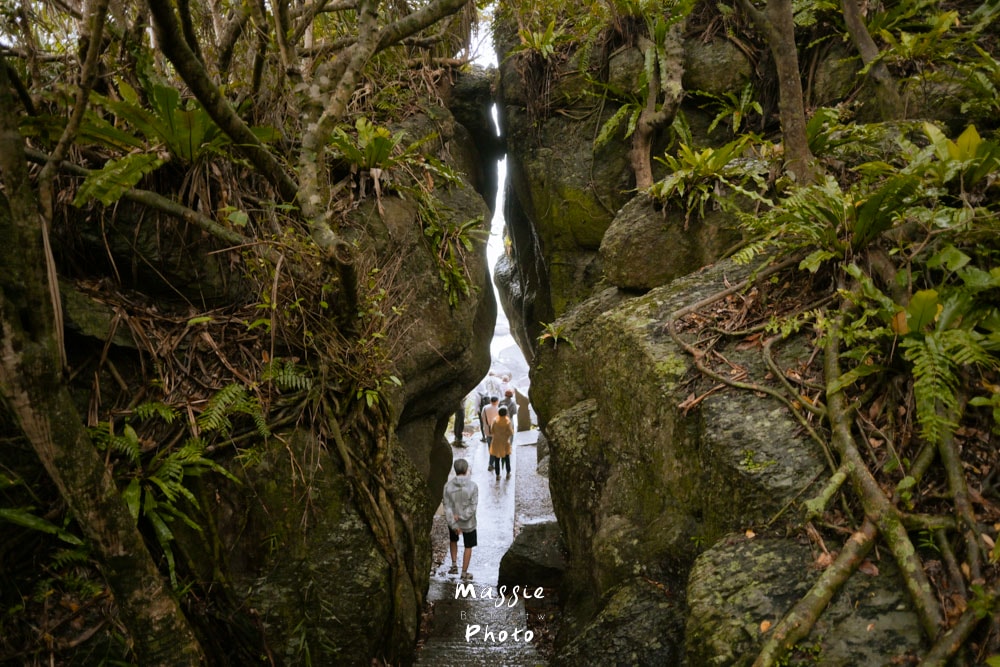 【宜蘭龜山島2天1夜】登島繞島、深入頭城漁村文化、走訪定置漁場