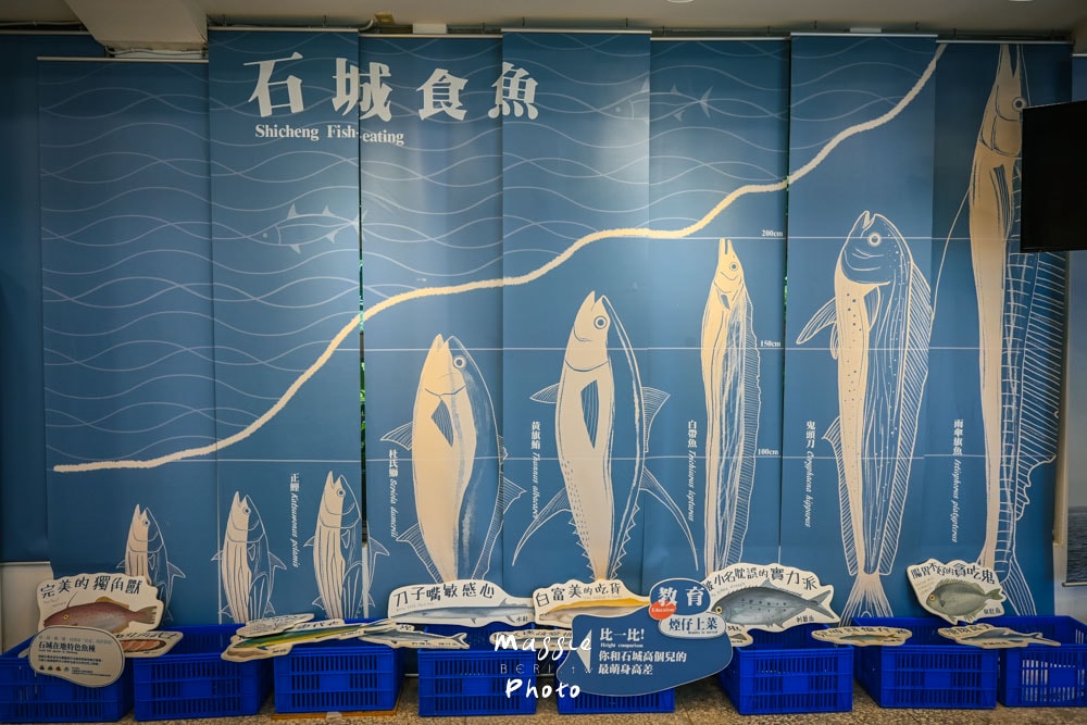 【宜蘭龜山島2天1夜】登島繞島、深入頭城漁村文化、走訪定置漁場