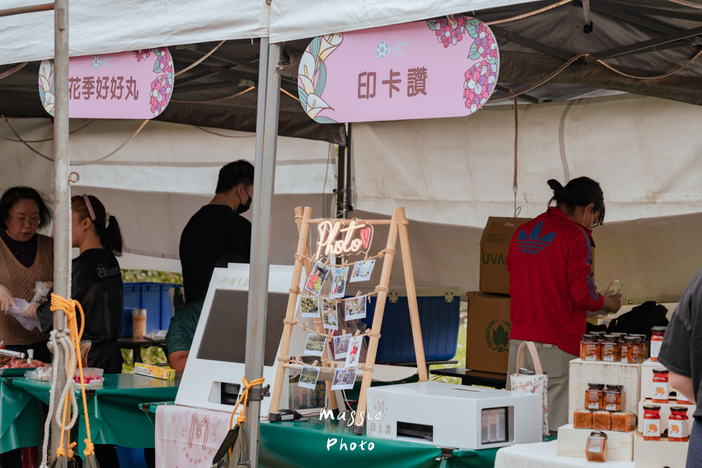 【2026陽明山竹子湖繡球花季】賞花打卡全攻略、市集、青楓步道地景藝術