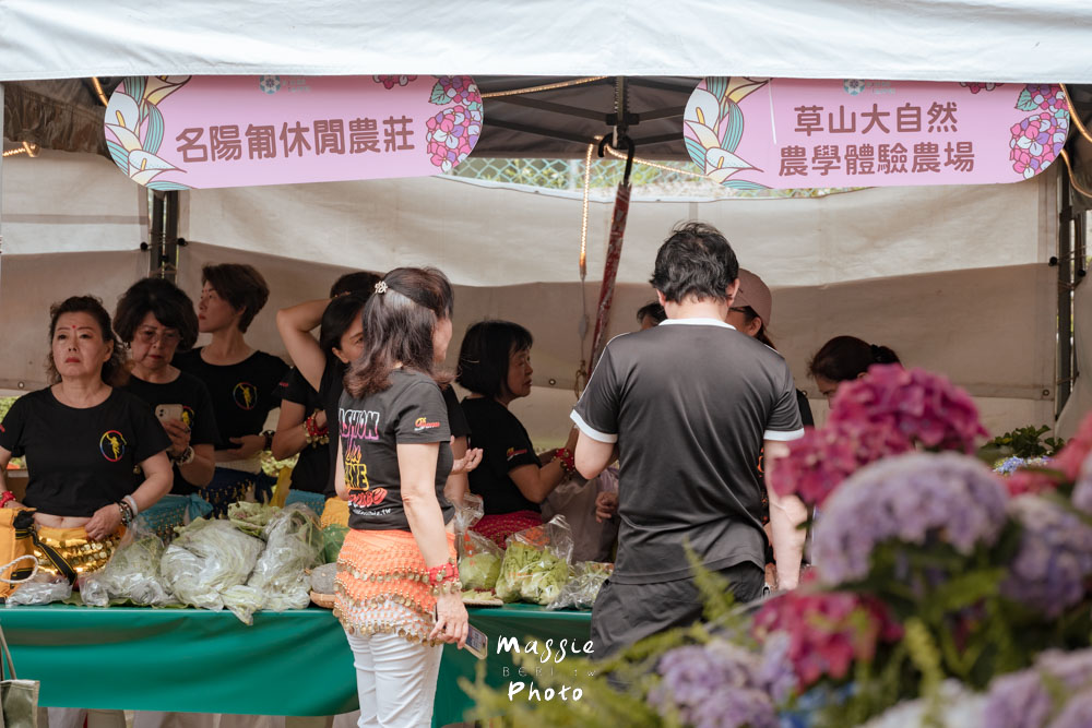 【2026陽明山竹子湖繡球花季】賞花打卡全攻略、市集、青楓步道地景藝術