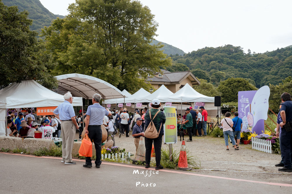 【2026陽明山竹子湖繡球花季】賞花打卡全攻略、市集、青楓步道地景藝術