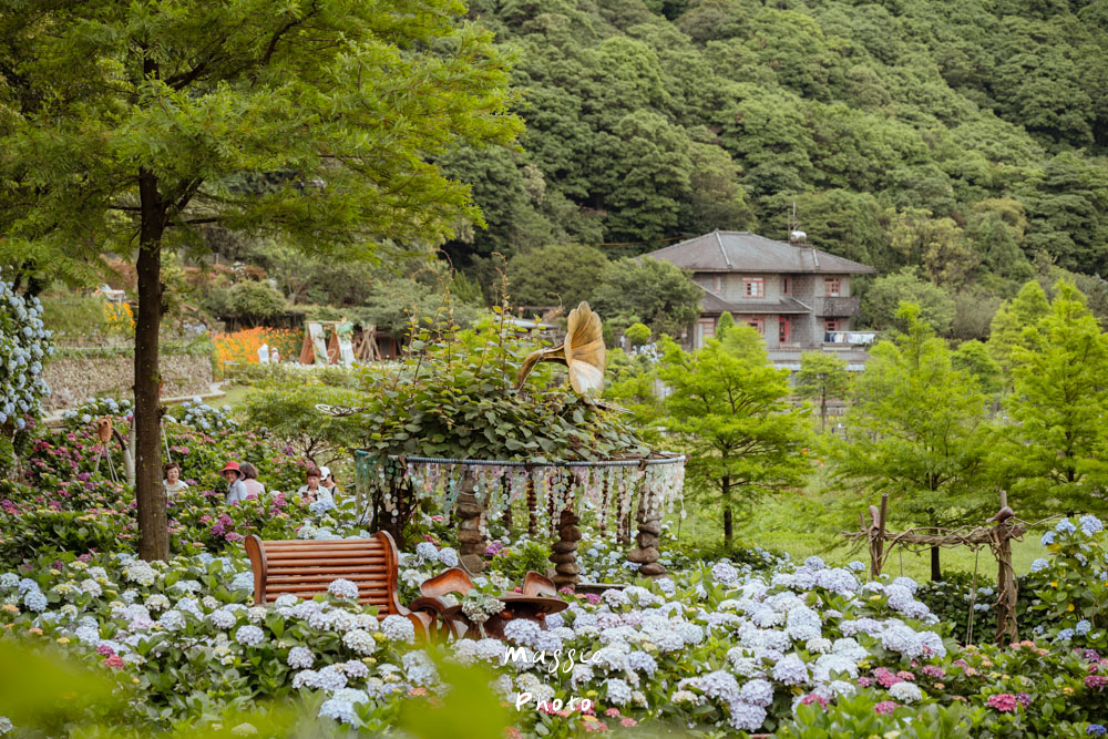 【2026陽明山竹子湖繡球花季】賞花打卡全攻略、市集、青楓步道地景藝術