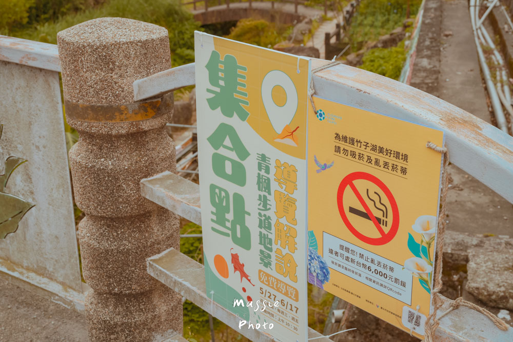 【2026陽明山竹子湖繡球花季】賞花打卡全攻略、市集、青楓步道地景藝術