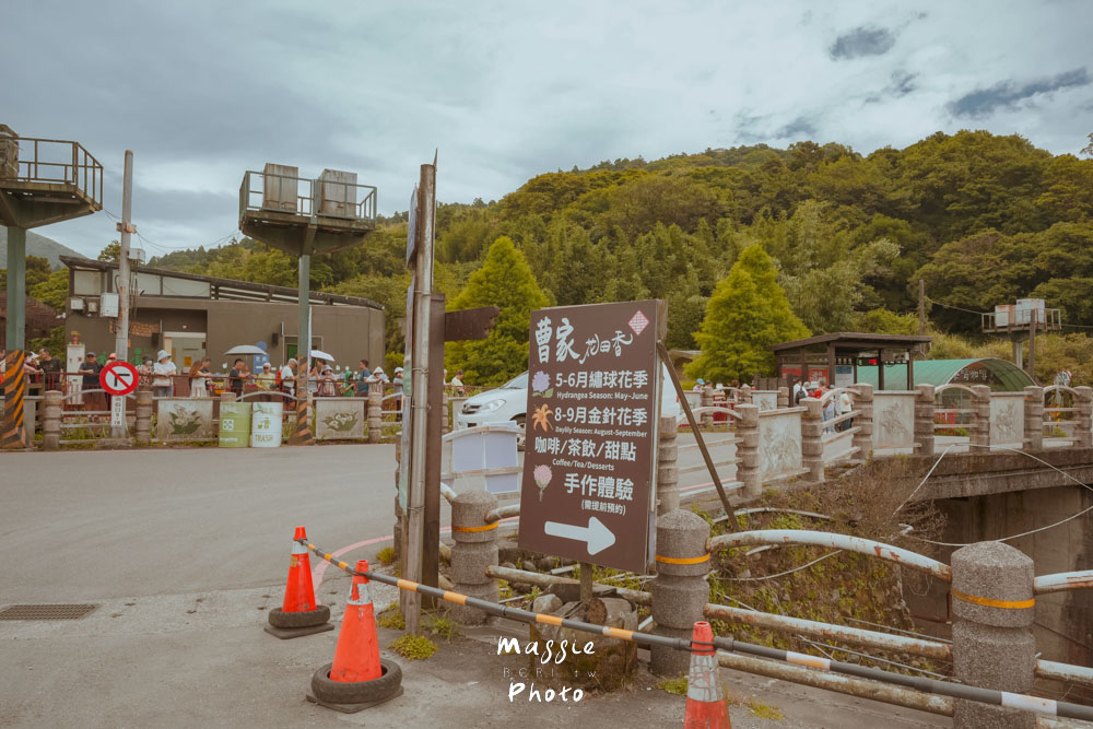 【2026陽明山竹子湖繡球花季】賞花打卡全攻略、市集、青楓步道地景藝術