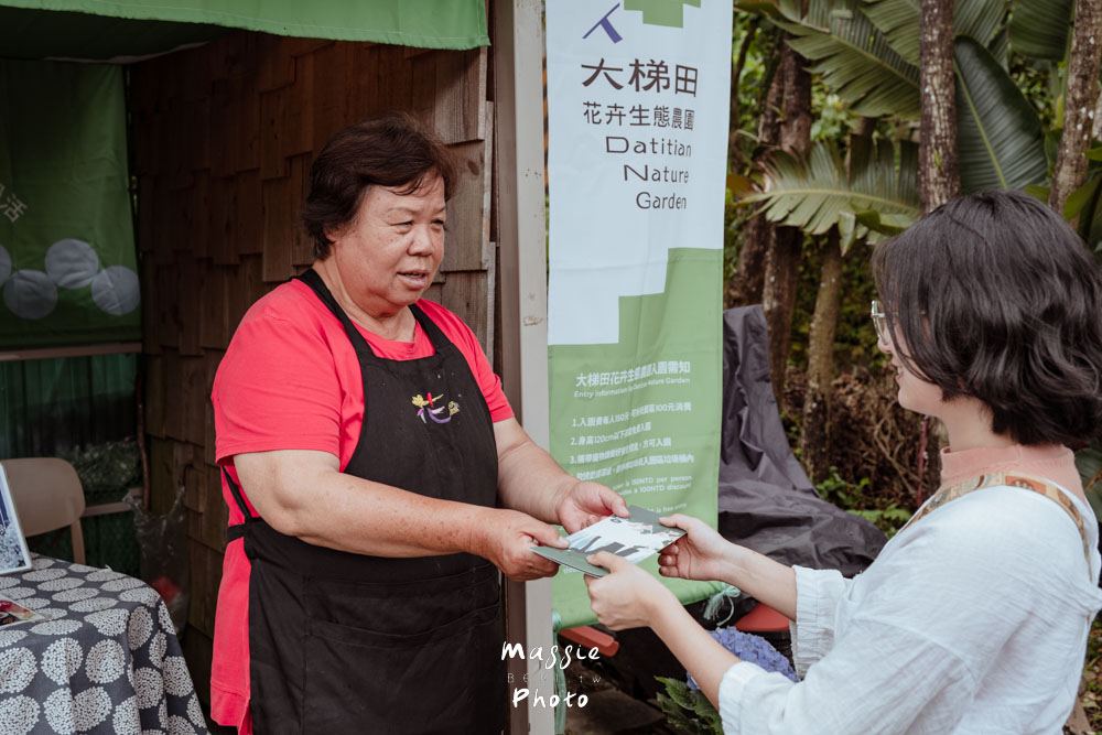 【2026陽明山竹子湖繡球花季】賞花打卡全攻略、市集、青楓步道地景藝術