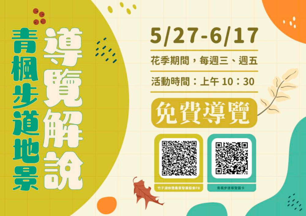 【2026陽明山竹子湖繡球花季】賞花打卡全攻略、市集、青楓步道地景藝術