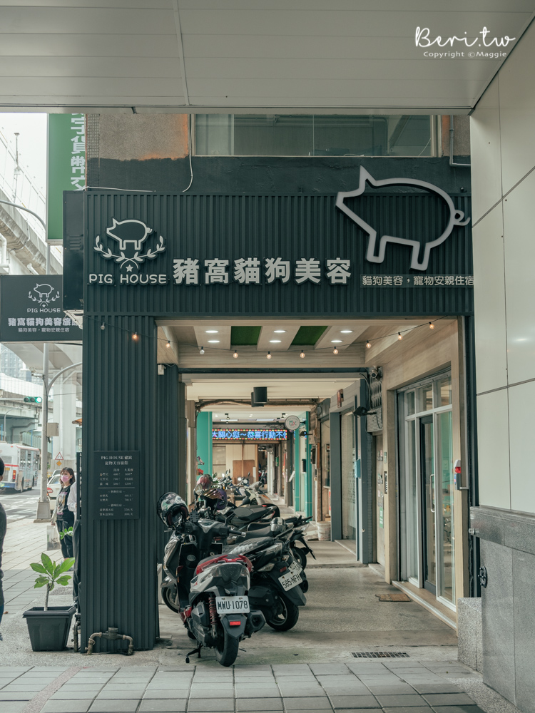 【板橋寵物美容】豬窩PIG HOUSE板橋店，專業細心貓狗美容，寵物住宿旅館