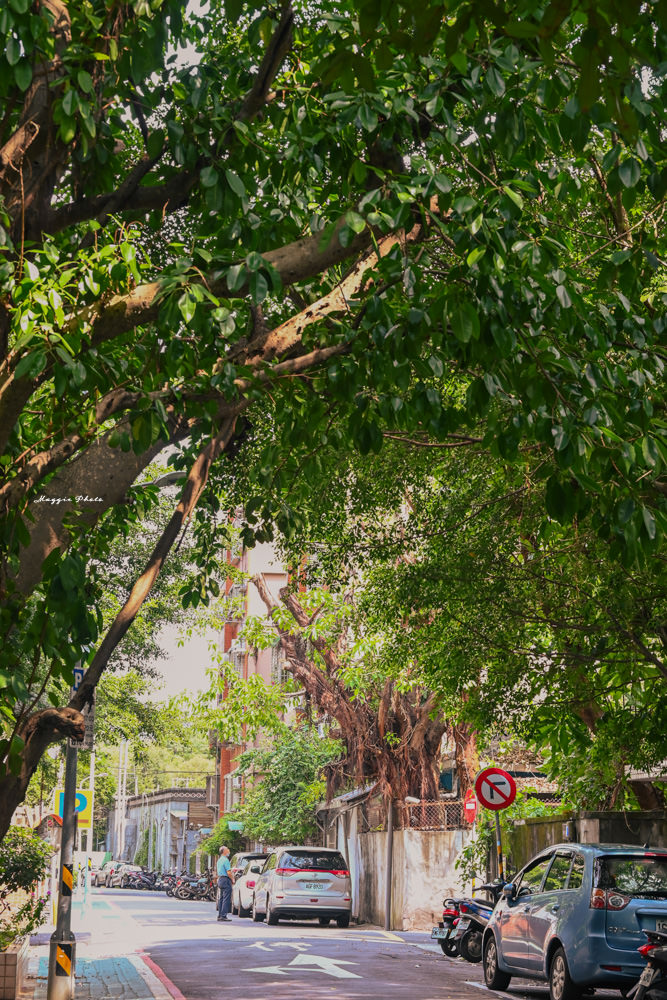 【台北青田街懶人包】私房景點一日遊路線，漫步綠蔭如蓋的昭和町